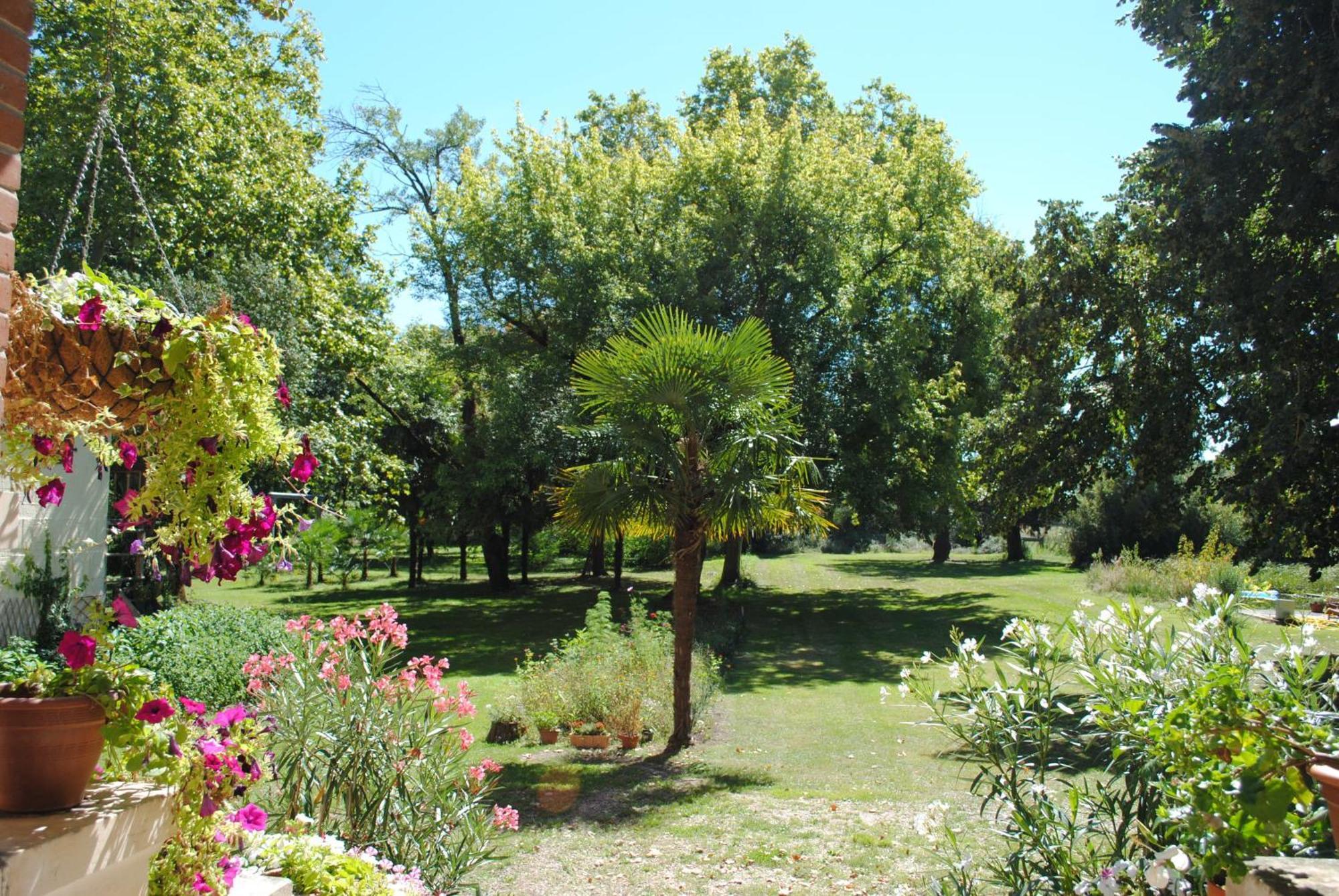 Chateau Mezger Albefeuille-Lagarde Exterior photo