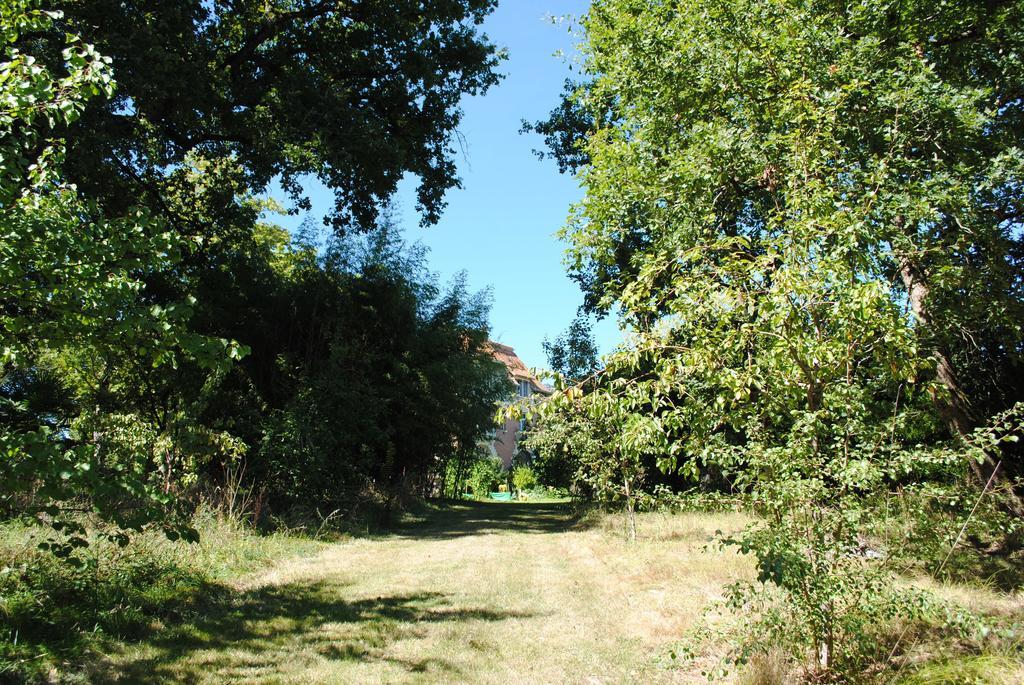 Chateau Mezger Albefeuille-Lagarde Exterior photo
