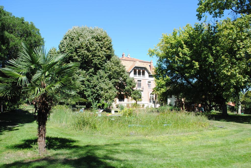 Chateau Mezger Albefeuille-Lagarde Exterior photo