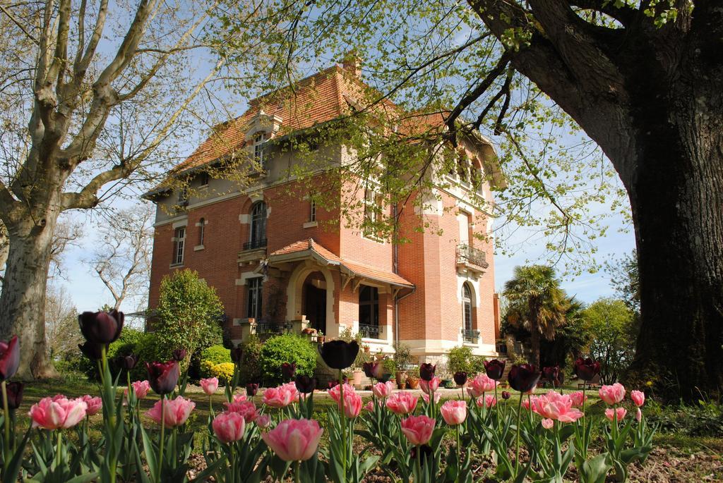 Chateau Mezger Albefeuille-Lagarde Exterior photo